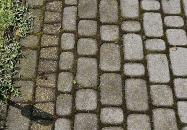 Mycie kostki brukowej Biała Podlaska PRZED